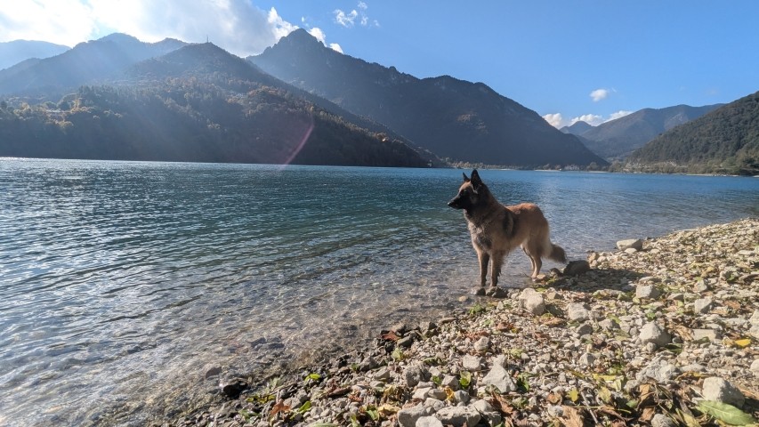 der Ledrosee - Hunde willkommen