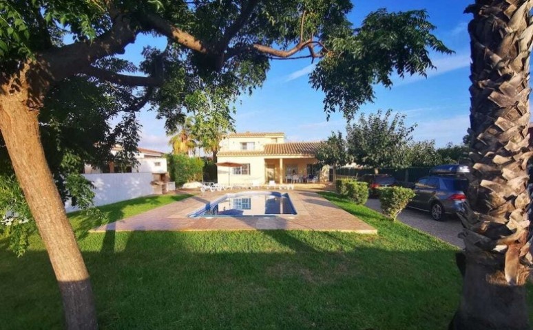 Unsere große Villa Martina mit Palmengarten