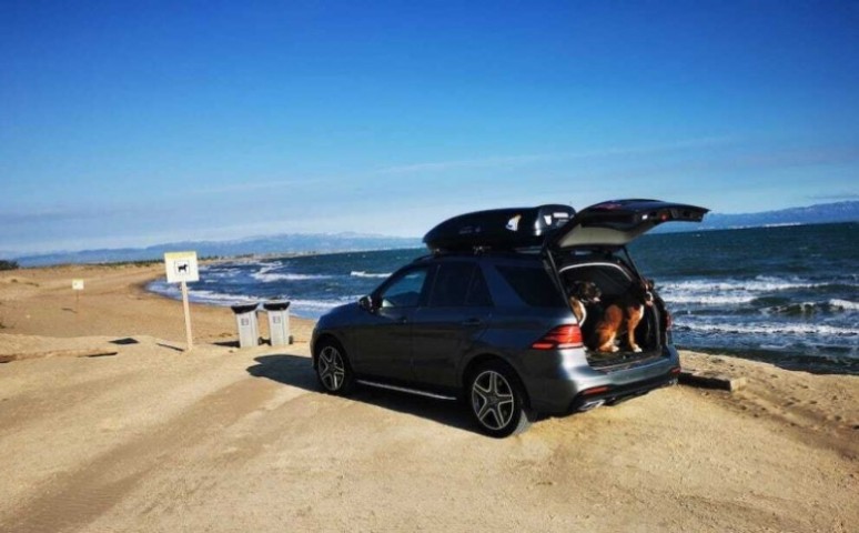 parken direkt am kilometerlangen Hundestrand 