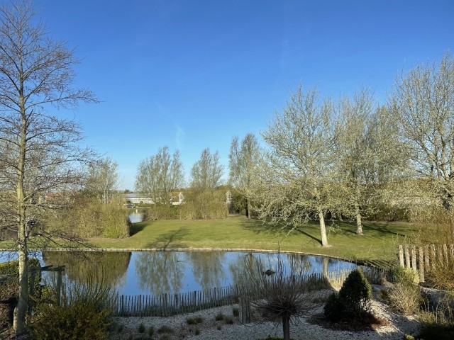 Garten mit Blick auf den Teich
