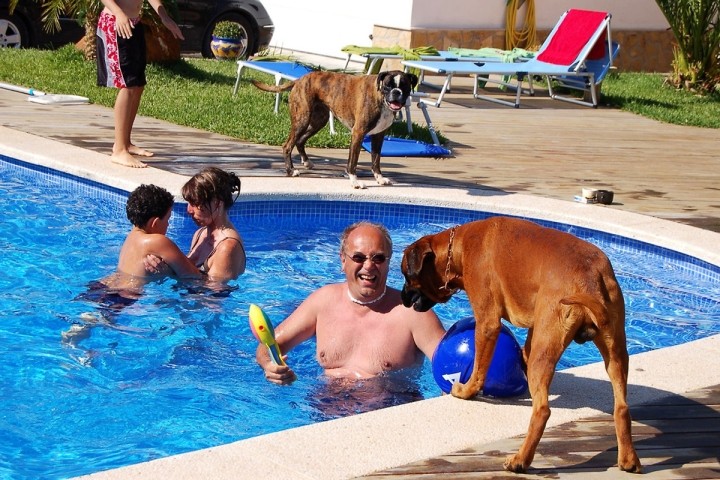 Familienspass im großen Privatpool 