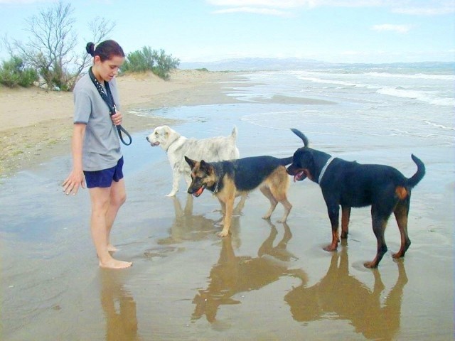 Hundestrand  
