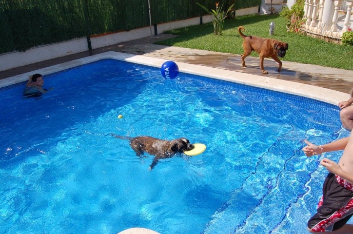 Abkühlung im Pool