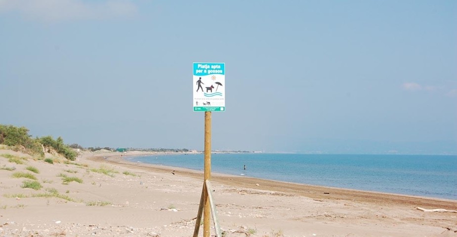 Hinweißschild Hundestrand