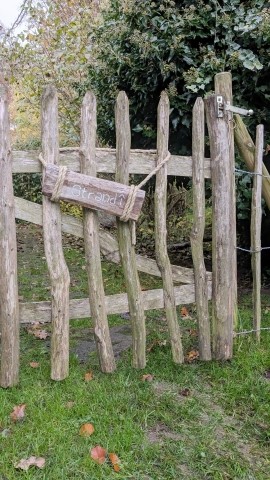 Durch den Garten in den Wald und in etwa 10 min am Strand
