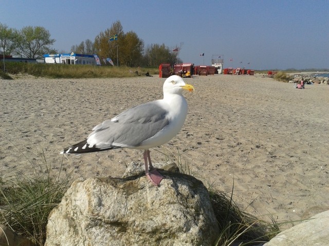 Mooinnn 