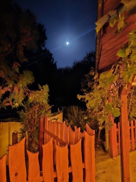 Blick in den Garten am Abend