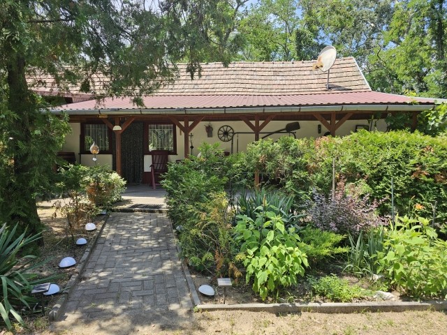 Garten mit Terrasse