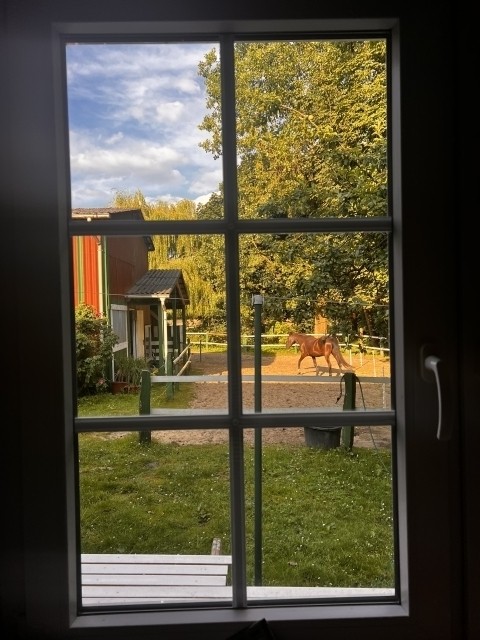 Blick aus dem Küchenfenster