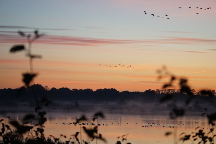 Stinstedter See