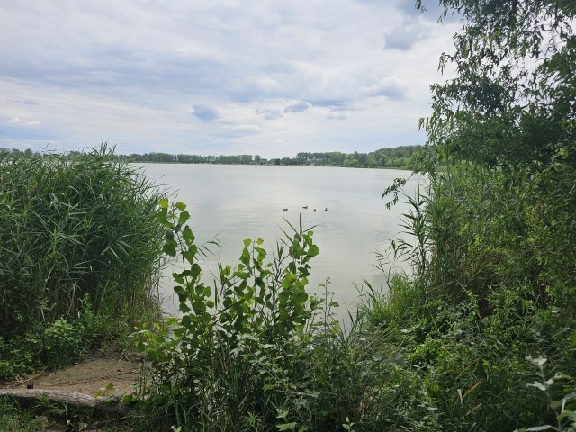 Der Vadkerti-See