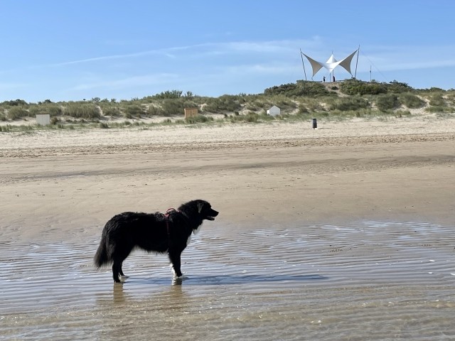 Groede Strand