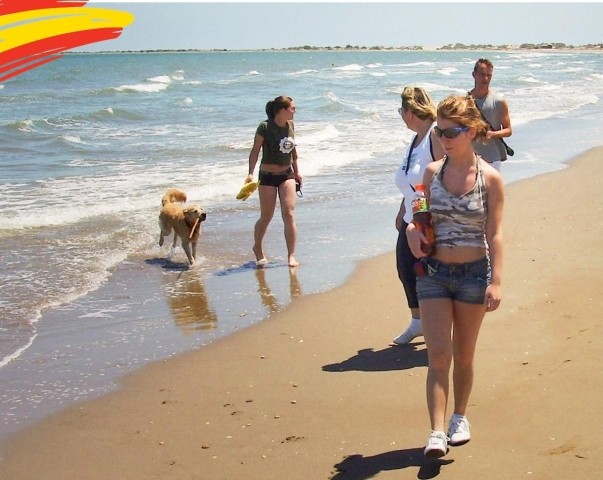 Der kilometerlange separate Hundetrand in Eucaliptus-Playa