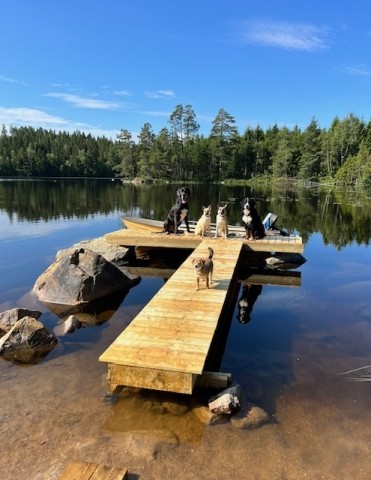 Privatstrand mit Steg und Boot 