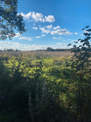 Die Moorlandschaft
