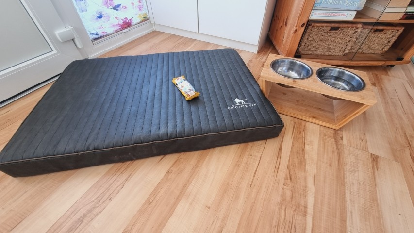 Hunde sind herzlich willkommen 