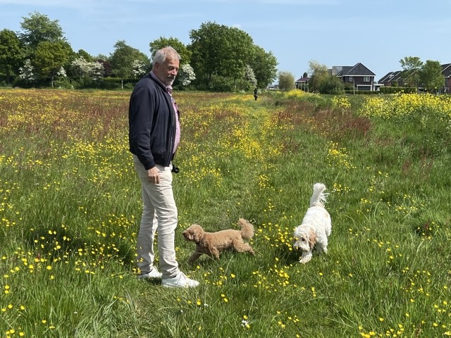 Hunde haben auch Spass