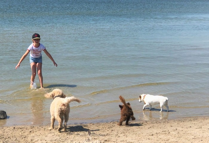 Hundestrand ganzes Jahr geoeffnet
