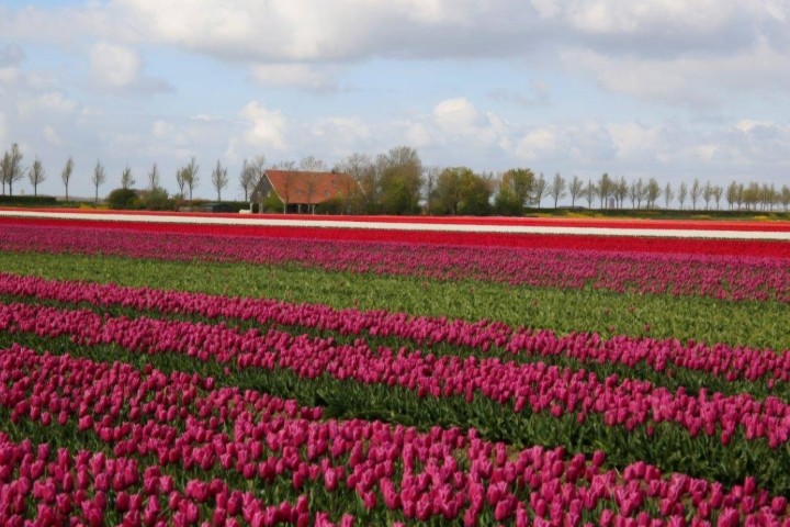 Impressionen Umgebung