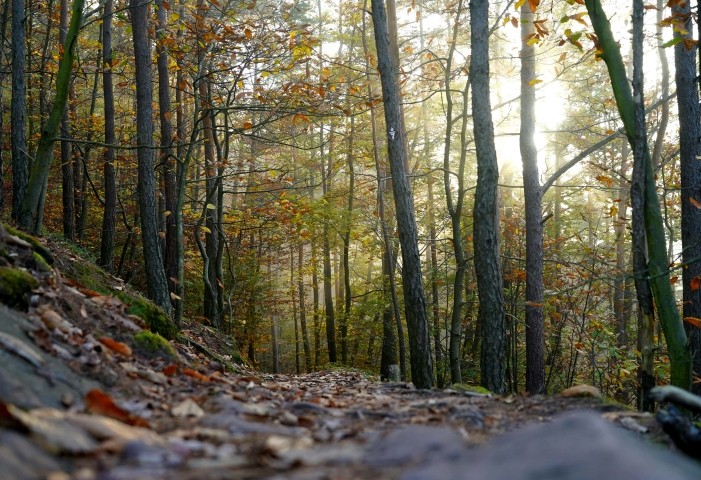 Wanderwege im Herbst