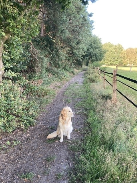 Wanderwege