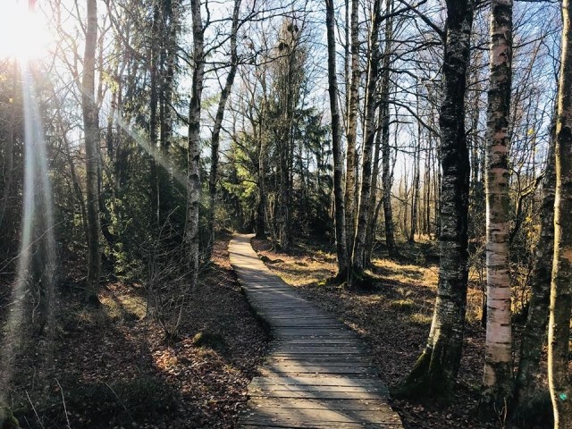 Schwarzes Moor 