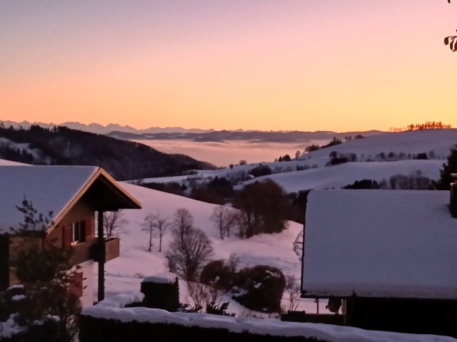 Ausblick vom Balkon 