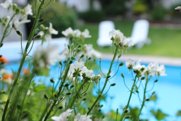 Poolblick