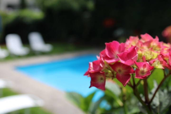 Poolblick