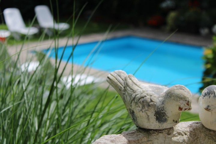 Poolblick