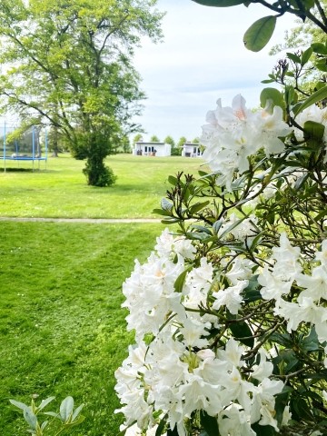großer Garten