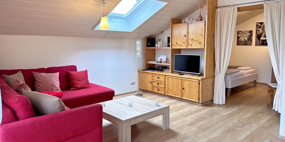 Wohnzimmer mit Schlafcouch