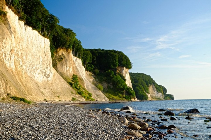 Rügener Kreidefelsen