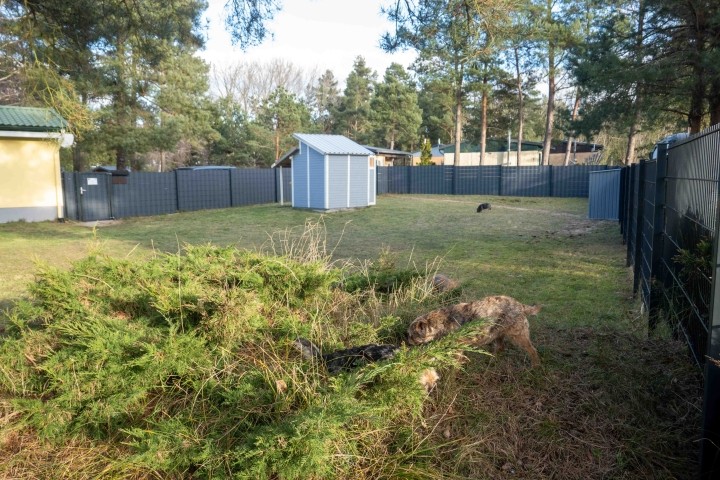 Garten, Garten und noch mehr Garten