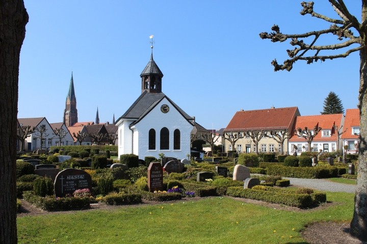 Fischerholm in Schleswig