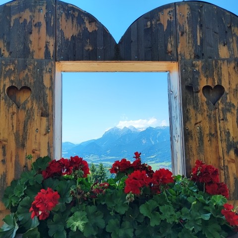 Blick auf die Dachsteingruppe