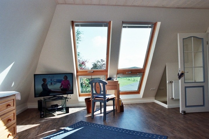 Blick aus dem Fernsehzimmer auf die Pferdekoppel