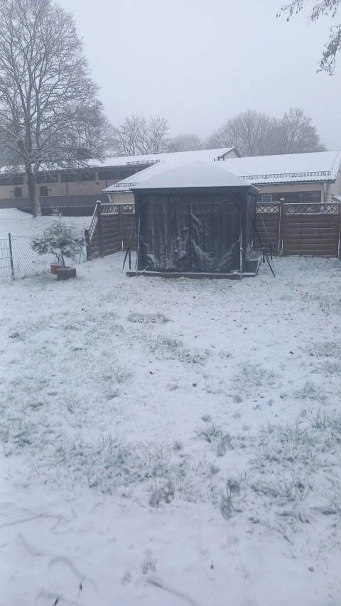Winterimpression