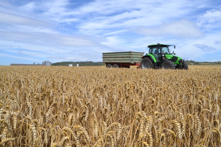 aktive Landwirtschaft
