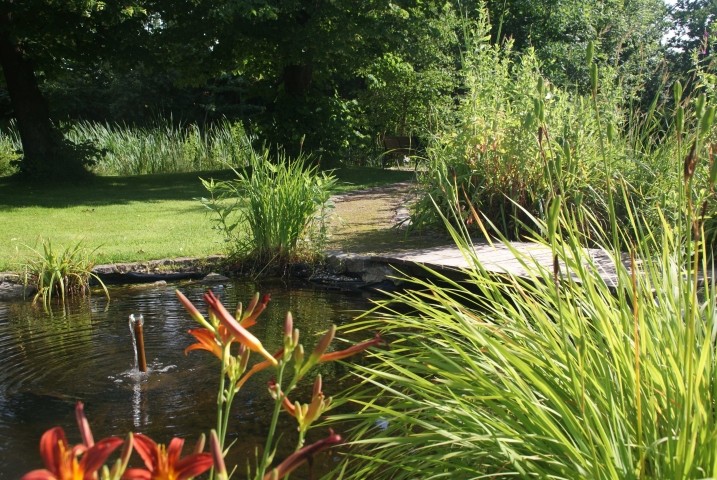 Filterteich