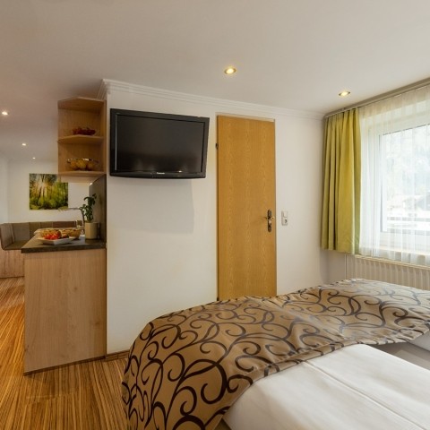StudioAlpinModern