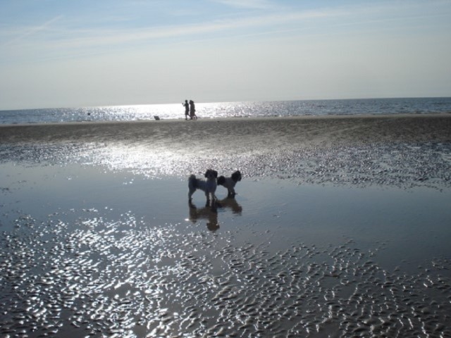 Abendstimmung am Meer