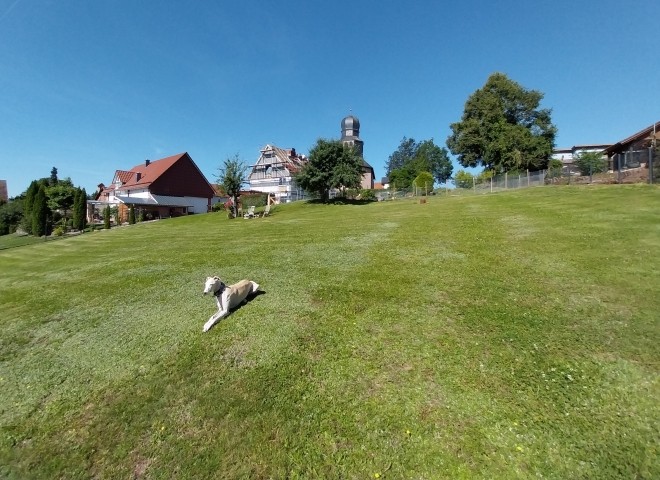 Der Garten