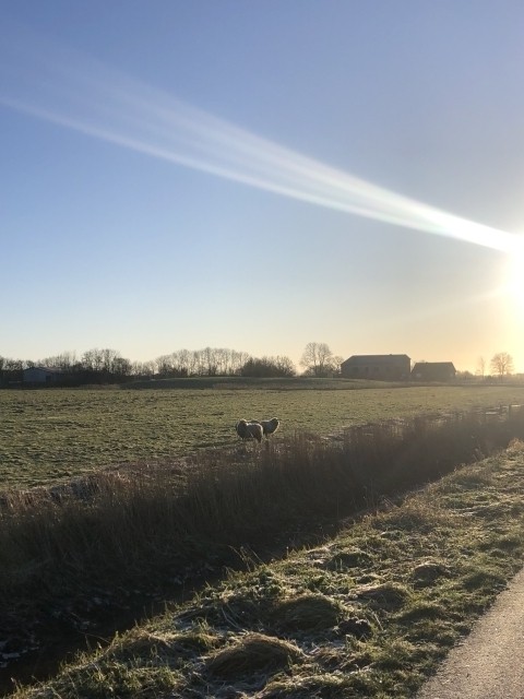 Hier kannst du ab Hof spazieren gehen