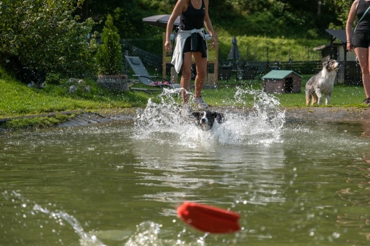 Sommerfrische