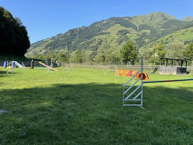 Agility Parcours