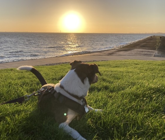 Sonnenuntergang