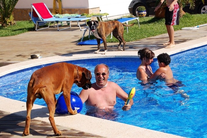Badespass im Pool