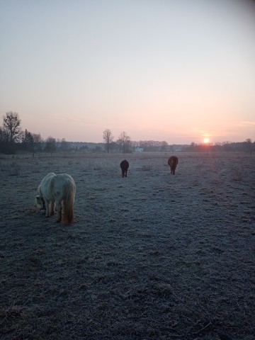 Sonnenaufgang