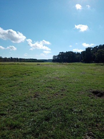Natur pur